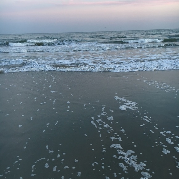 Meet your Posher, Gavin - Picture 1 of 1